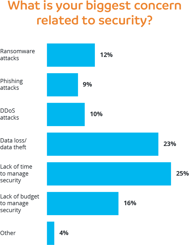 what is your biggest concern related to security